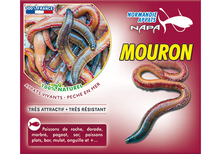 appat-ver-mouron