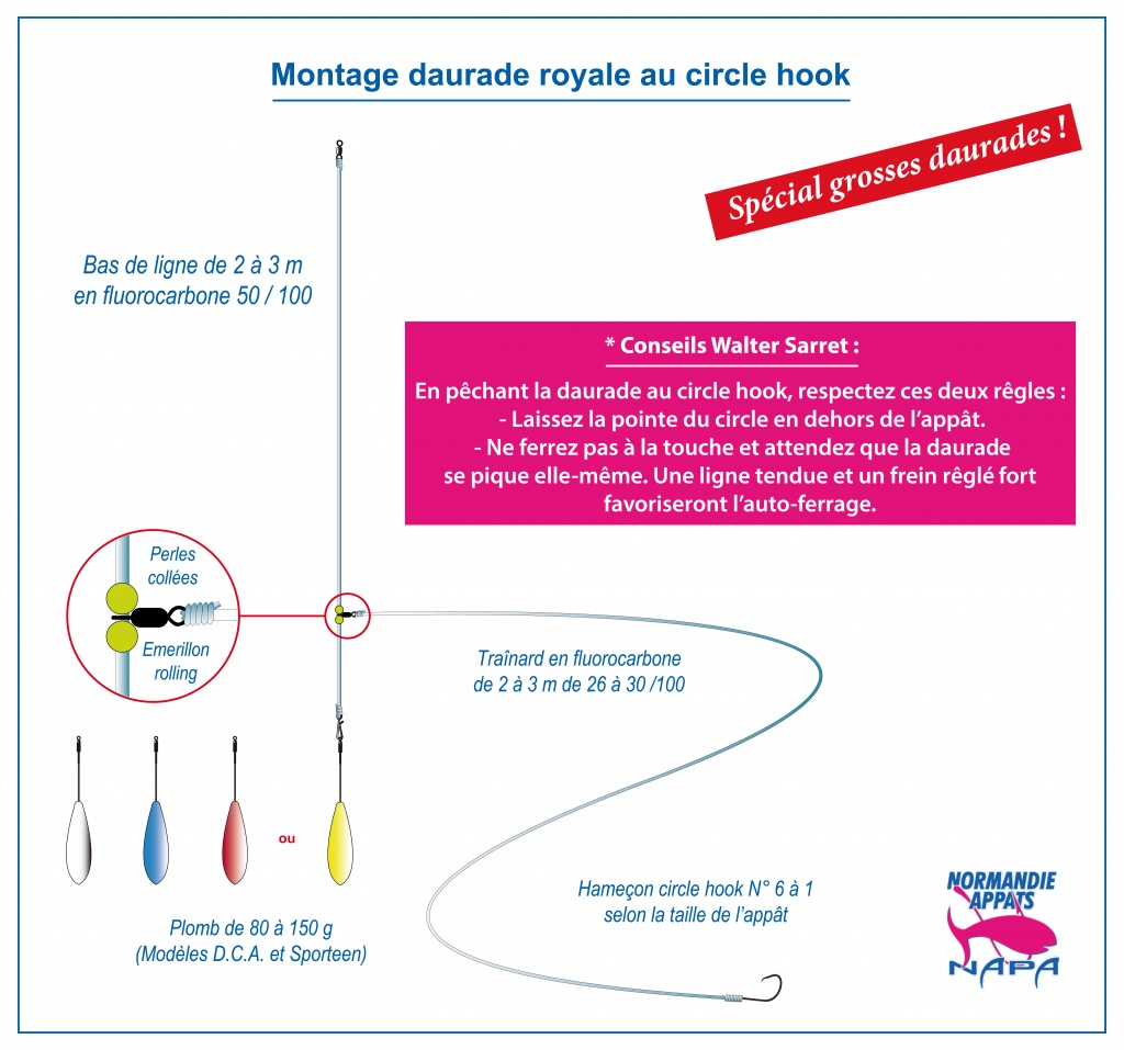 montage dorade grise bateau