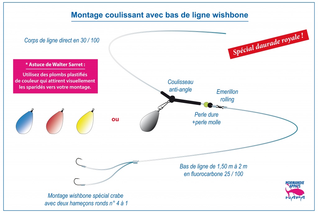 Astuces pour mieux pêcher la daurade royale Normandie Appâts