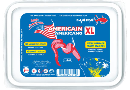 appat-ver-americain-xl