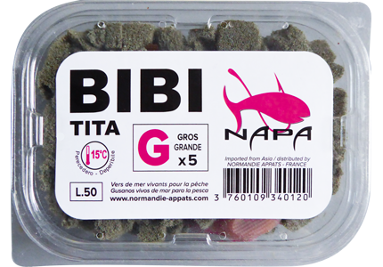 appat-ver-gros-bibi