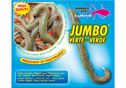 Jumbo vert