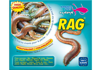 Rag