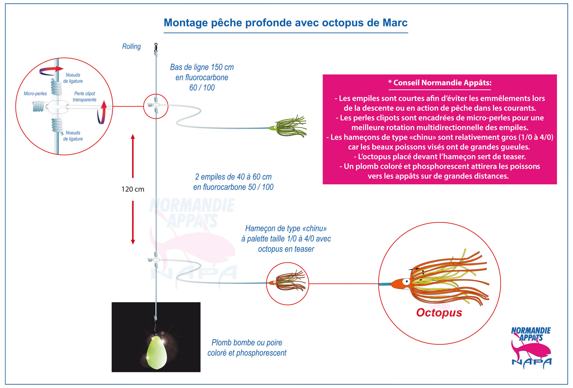 Pêche des calamars rouges dans les abysses - Blog Flashmer