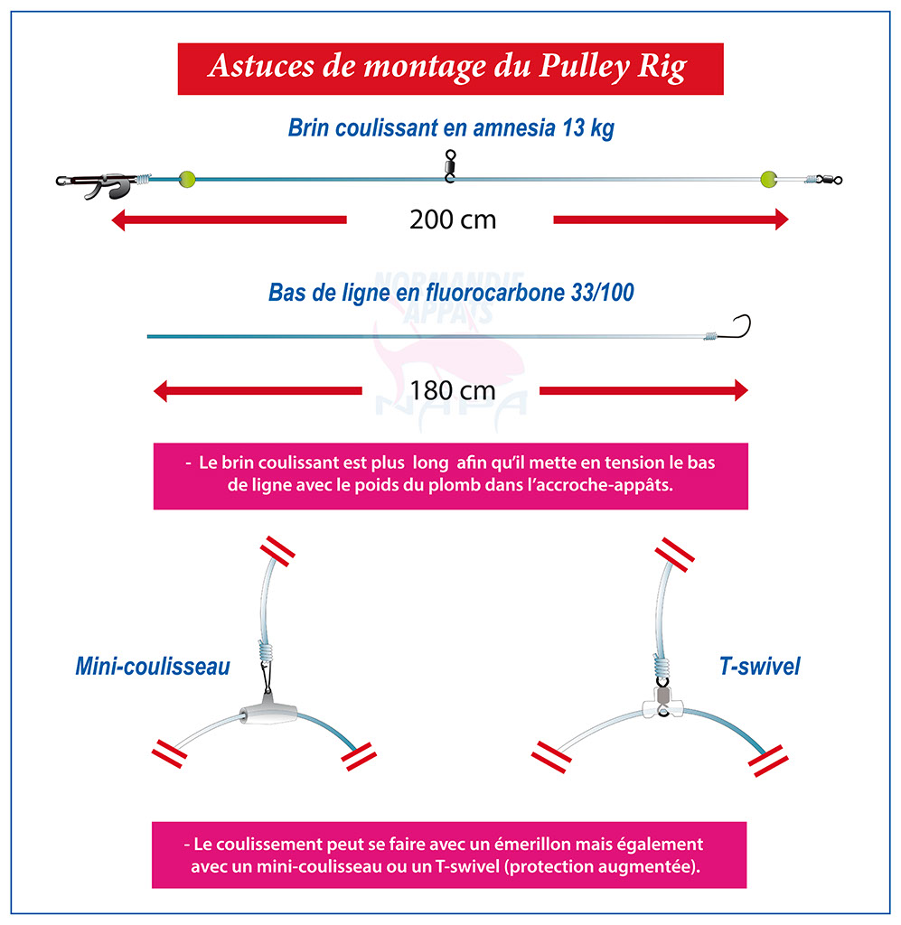 Montage Pulley rig : hyper polyvalent et…redoutable ! - Normandie