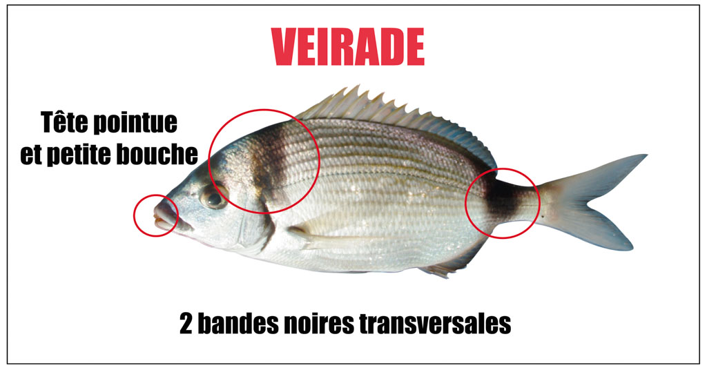 Veirade