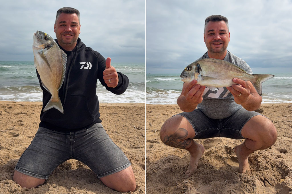 Daurade royale prise au ver de sable NORMANDIE APPATS par Marc Puig