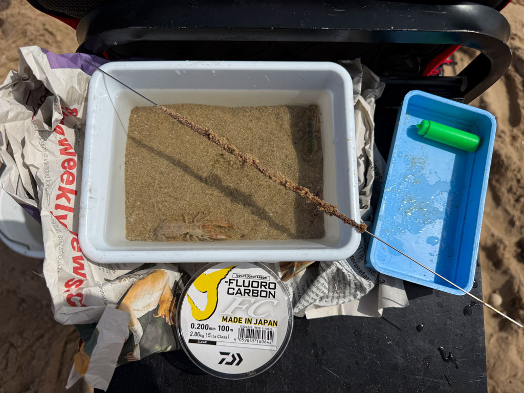Ver de sable eschée sur une aiguille