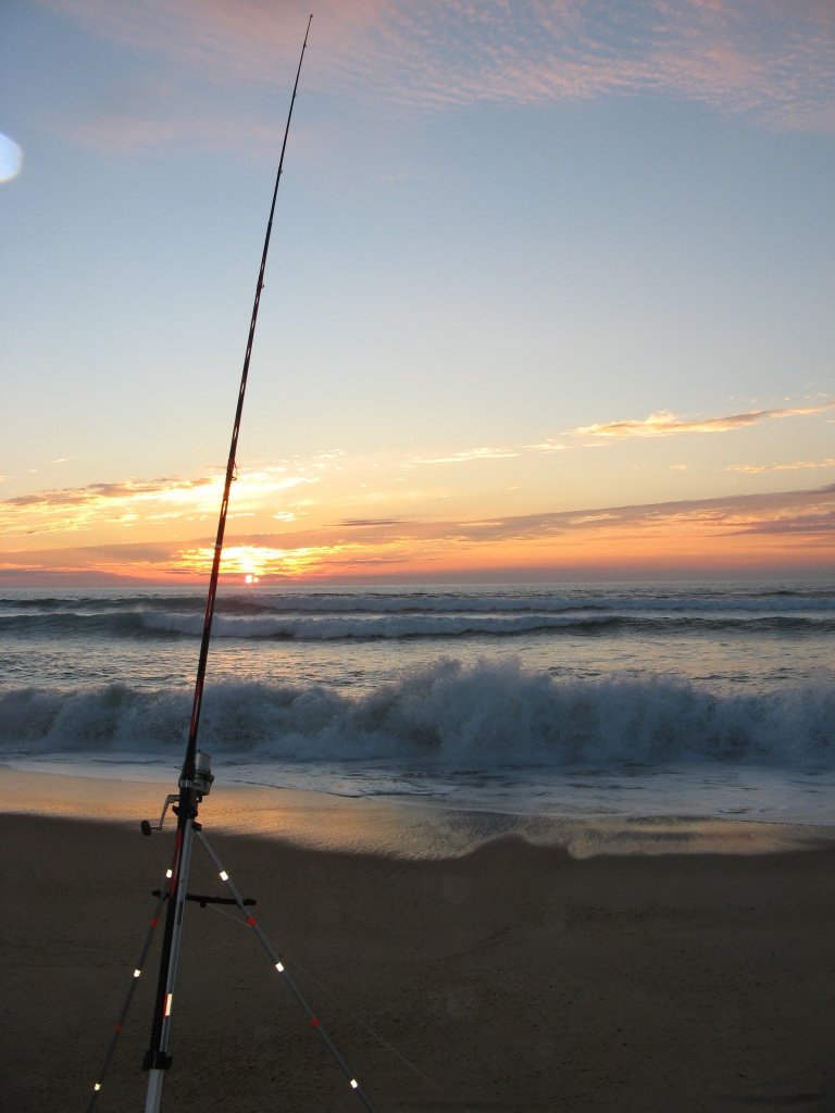 Les lampes UV en surfcasting - Surfcasting Méditerranée