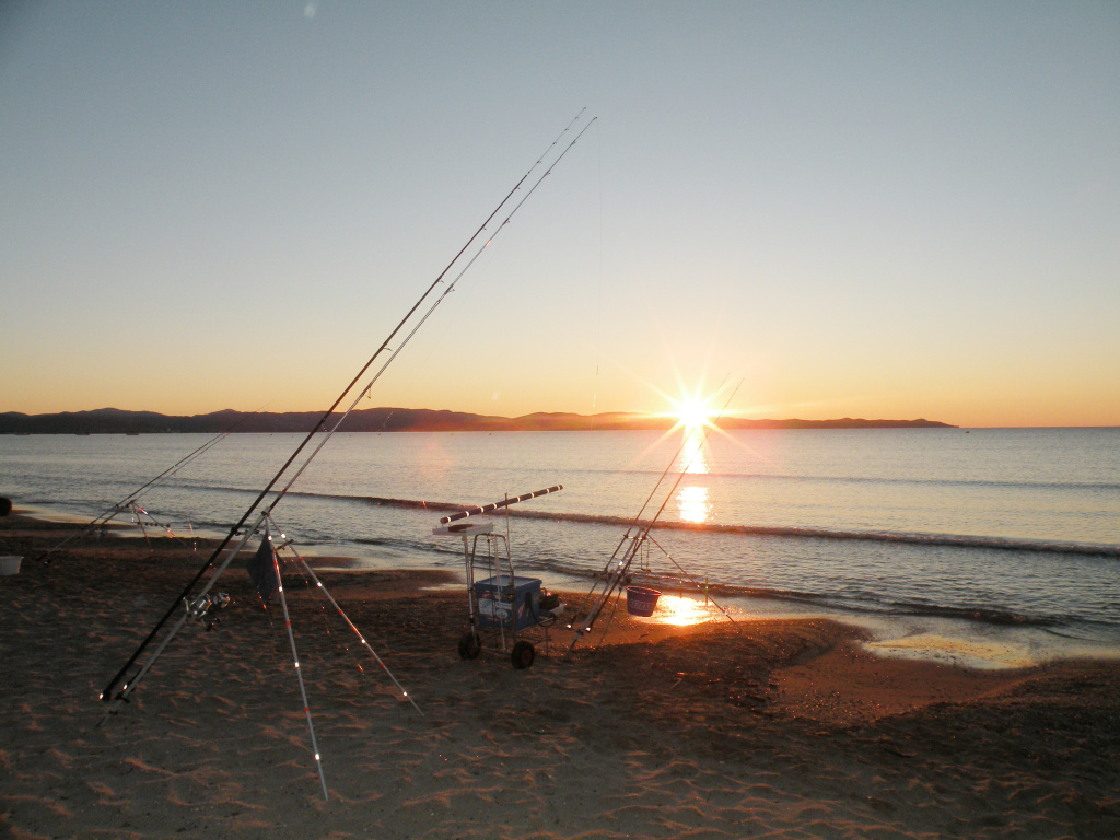 Choisir ses perles flottantes en fonction du poisson - Sunset Fishing