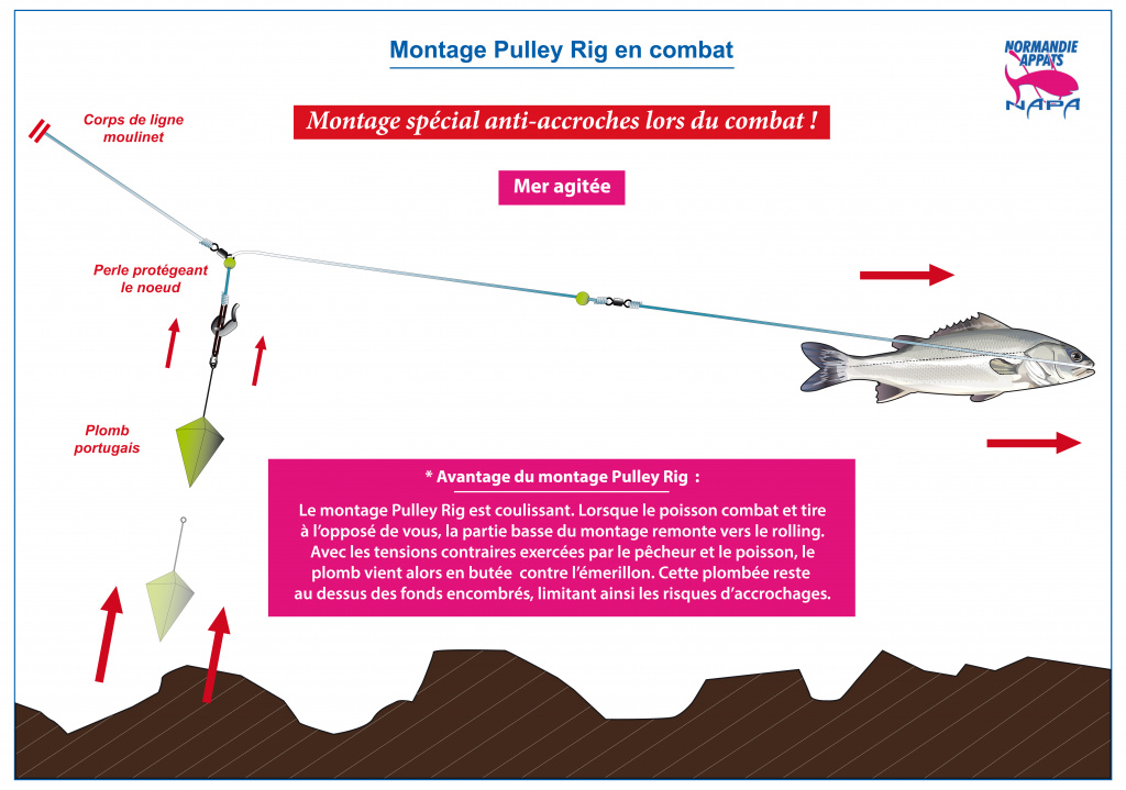 CONNECTEURS LINK RAGOT TAILLE L PAR 10 - PECHE MER - PLOMBS ET MONTAGES MER