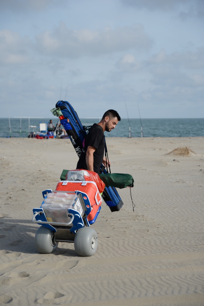 Chariot Pêche Surfcasting Port Équipement Pliable Roues