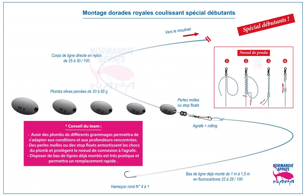 D butants Comment Faire Un Montage Dorades Pour Le Bord Normandie 